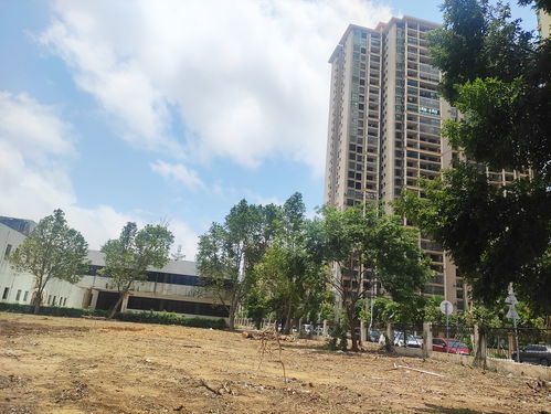 北海市中心北海大道旁這個(gè)老工廠開始拆了,準(zhǔn)備搞房地產(chǎn)項(xiàng)目